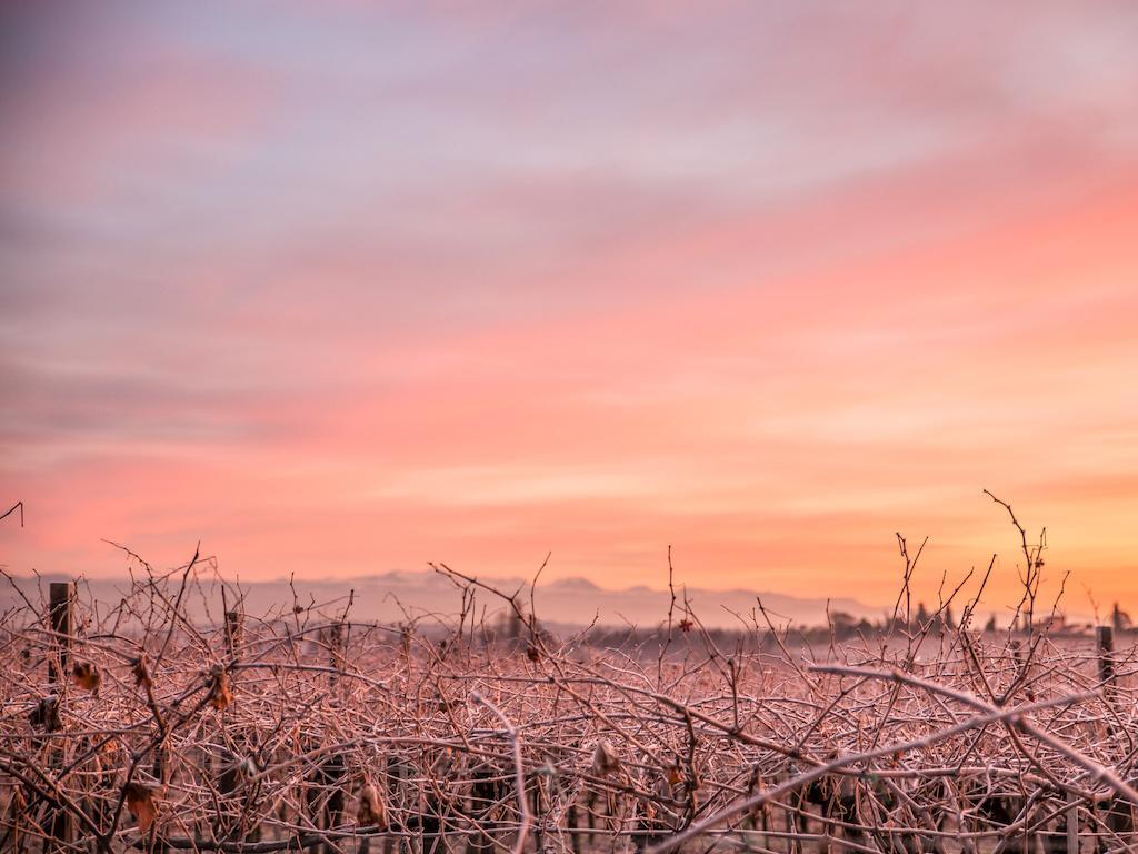Agriturismo E Agricamping Le Nosare Valeggio sul Mincio Exteriér fotografie