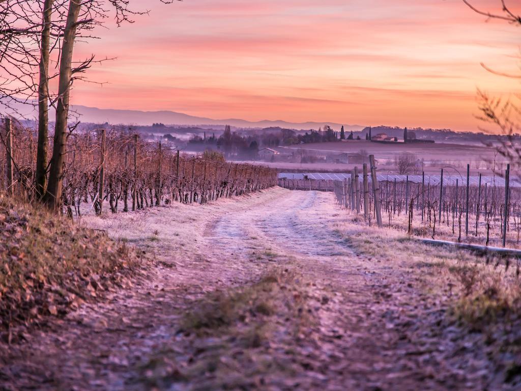 Agriturismo E Agricamping Le Nosare Valeggio sul Mincio Exteriér fotografie