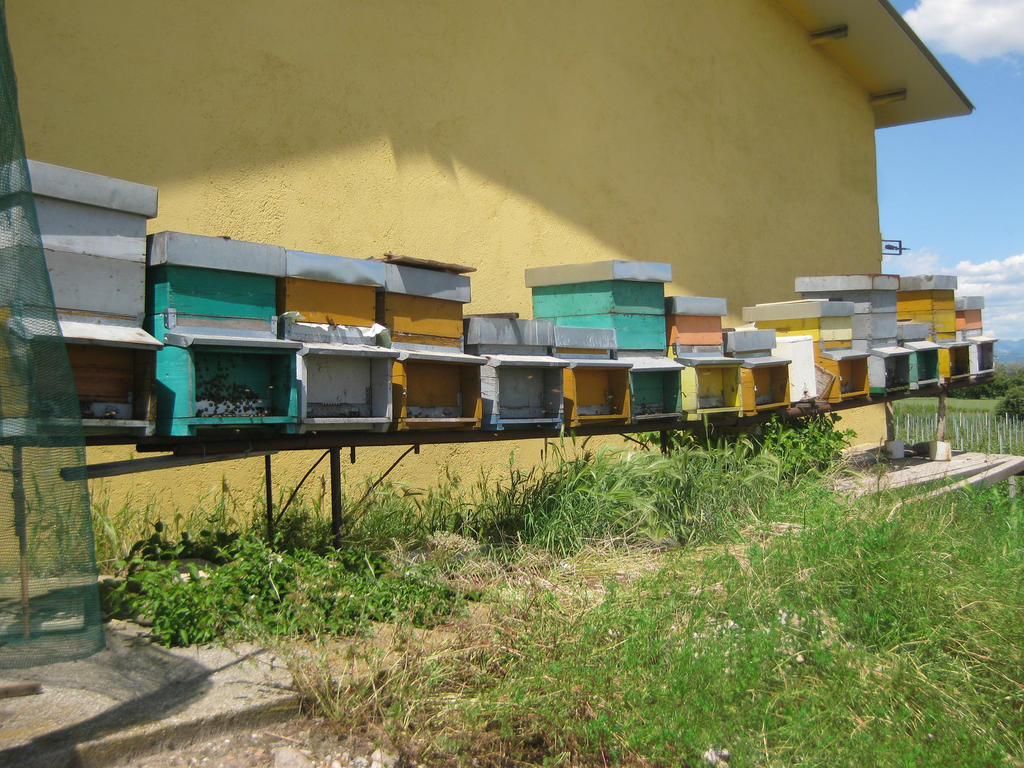 Agriturismo E Agricamping Le Nosare Valeggio sul Mincio Exteriér fotografie