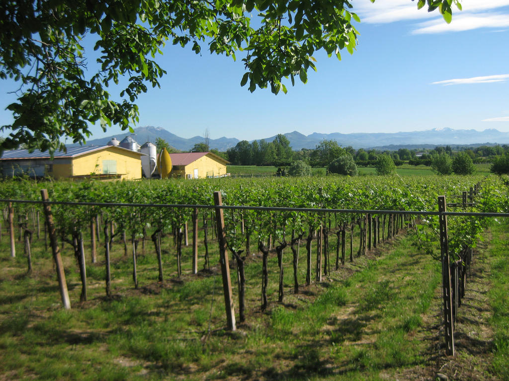 Agriturismo E Agricamping Le Nosare Valeggio sul Mincio Exteriér fotografie