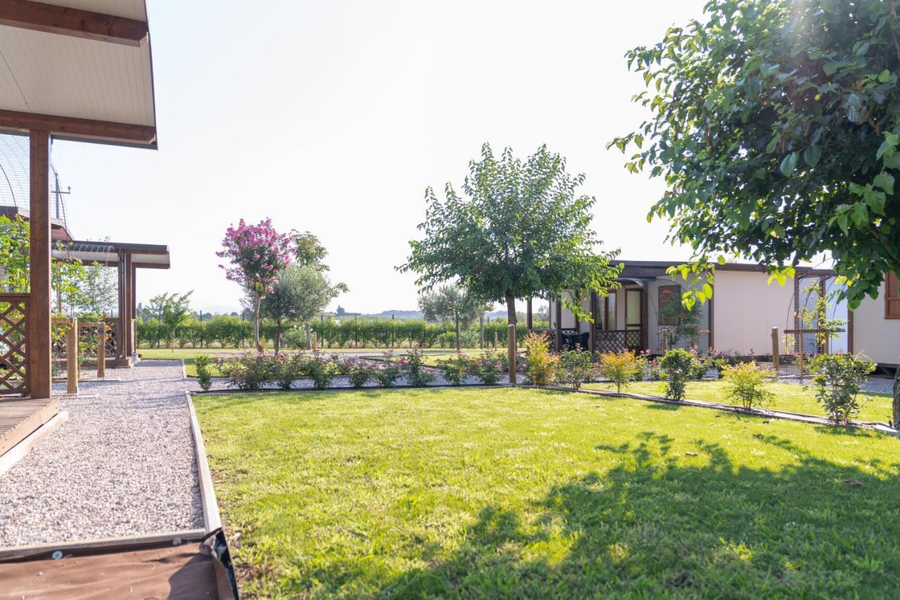 Agriturismo E Agricamping Le Nosare Valeggio sul Mincio Exteriér fotografie