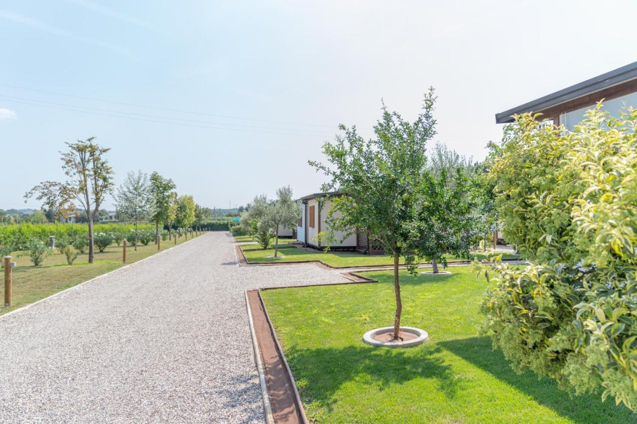 Agriturismo E Agricamping Le Nosare Valeggio sul Mincio Exteriér fotografie